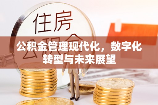 姜堰公积金管理现代化，数字化转型与未来展望