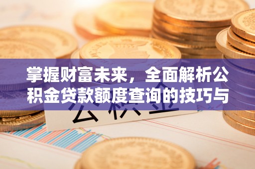 姜堰掌握财富未来，全面解析公积金贷款额度查询的技巧与策略
