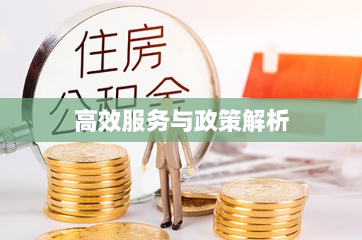 姜堰高效服务与政策解析