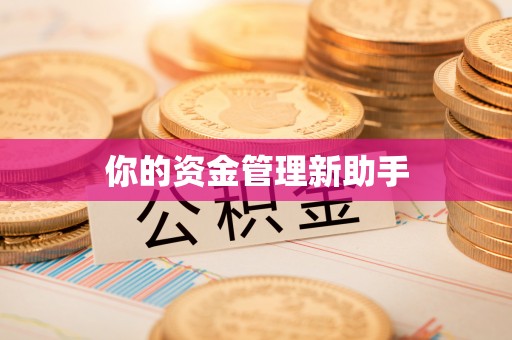 姜堰你的资金管理新助手