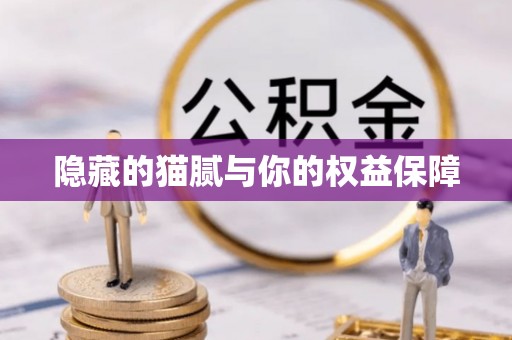 姜堰隐藏的猫腻与你的权益保障