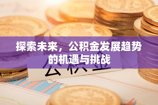 姜堰探索未来，公积金发展趋势的机遇与挑战