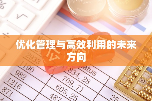 姜堰优化管理与高效利用的未来方向
