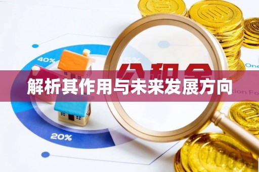 姜堰解析其作用与未来发展方向