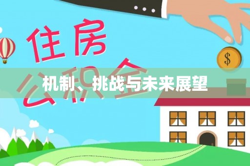 姜堰机制、挑战与未来展望